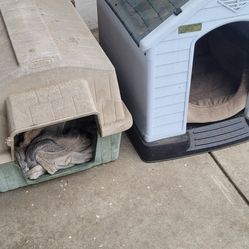 Dog House