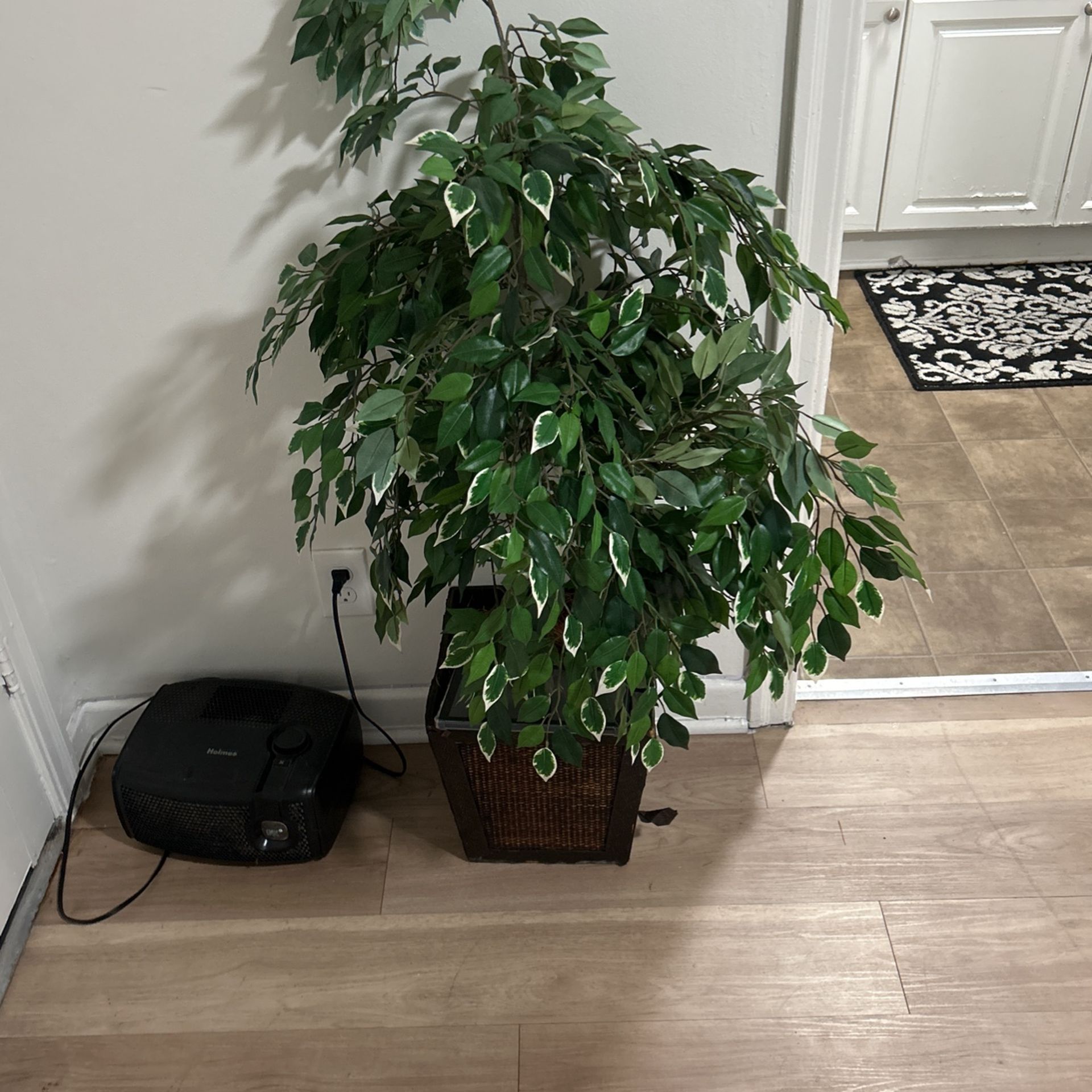 Fake Plant