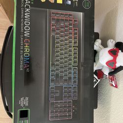 Razor Blackwidow chroma Keyboard
