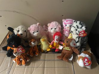 Collection of TYs (12)