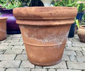 18.5”  Terracotta Pot: 18.5”W x 16.5”H