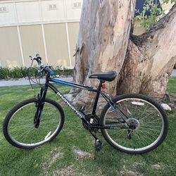 Rode/Mountain Bike