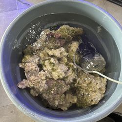 Live Rock For Reef Tank 