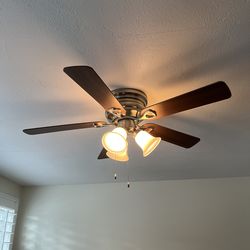 Clarkston 44 in. Indoor Ceiling Fan with Light