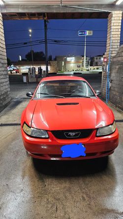 Mustang