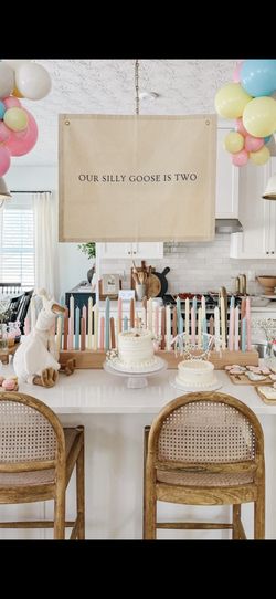 Silly Goose Themed Birthday