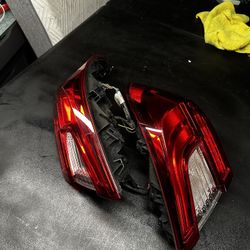 2020 Honda Accord Sport Tail Lights