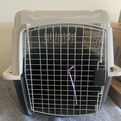 Dog Cage 