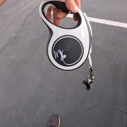 Dog Leashes Harnesses NEW WITH STORE TAG AFFIXED DELIVEY AVAILABLE