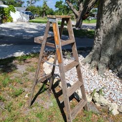 Wood ladders to display pots and plants 