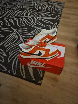 Nike Sb