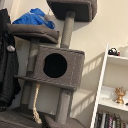 Cat Tree