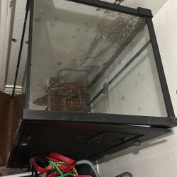 Snake Cage Make Offer