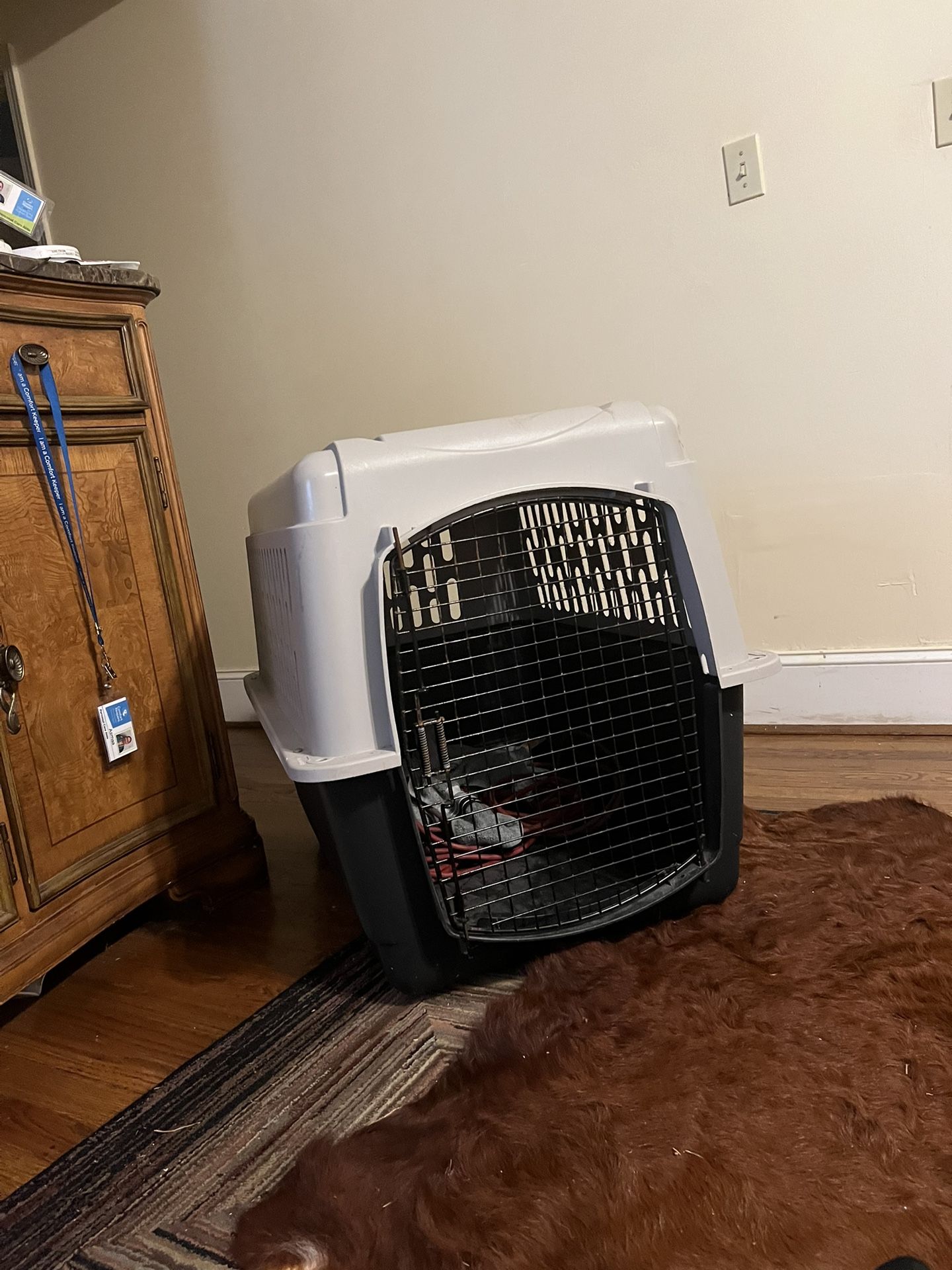 Large Dogs Kennel 