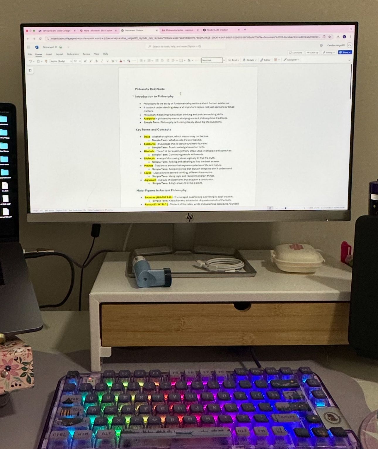 HP monitor