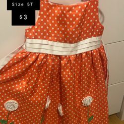 Cute Little Girl Dress Size 5T