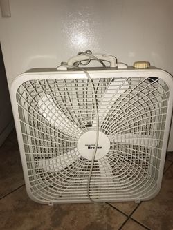 Fan
