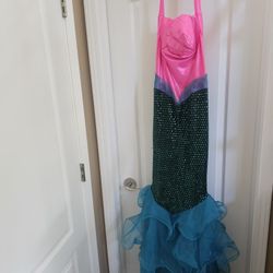 Sexy Mermaid Costume JUST REDUCED
