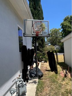 Lifetime outdoor basketball hoop