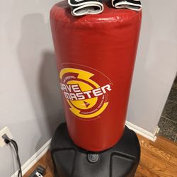 Punching Bag Excellent Condition 