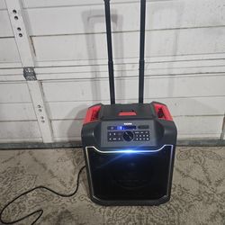 ION Pathfinder 280 All-Weather Speaker with Premium Wide-Angle Sound