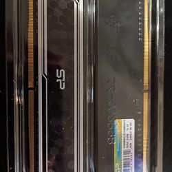 Sp Two 8 Gig Dd4s Rgb 16 Gigs Total 