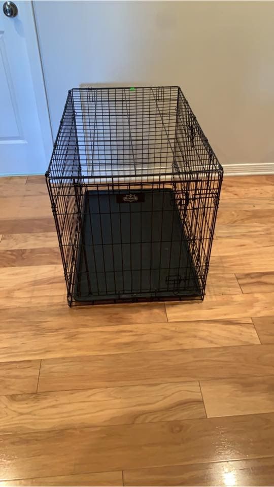 Collapsible dog kennel