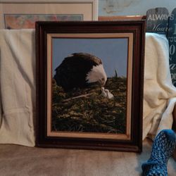 Eagle With Babies