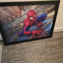 Spiderman Picture 