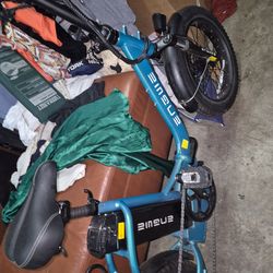 E Bike