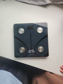 Body Weight Scale