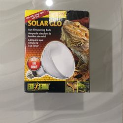125w Reptile Heat Bulb