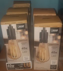 BRAND NEW Feit Electric 40-Watt ST19 Dimmable LED Light Bulb