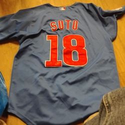 Soto Cubs Authentic Jersey