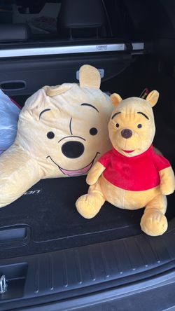 Backpack and pillow