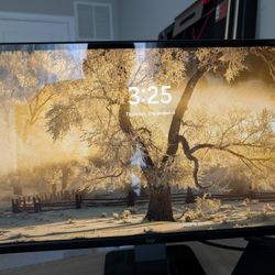 Dell 24” Thin-Bezel LED Monitor – Home Office / WFH Setup