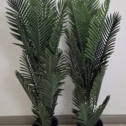 PAIR of 66" Areca Palms in 12" Gray Resin Planters @ Lasting Creations 