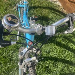 BIKE Schwinn! 
