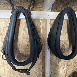 Antique Horse collars