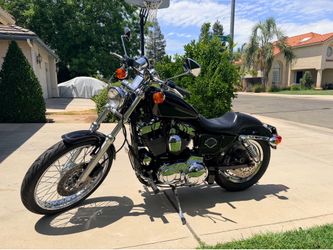 1999 sportster custom