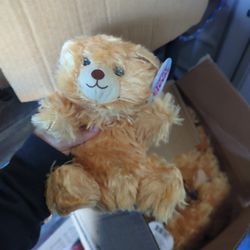 Teddy bear