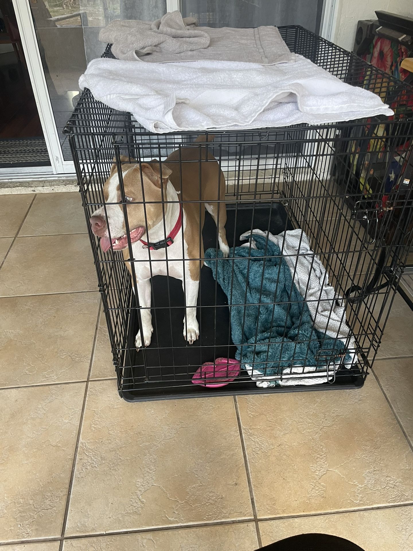 Large Dog Cage