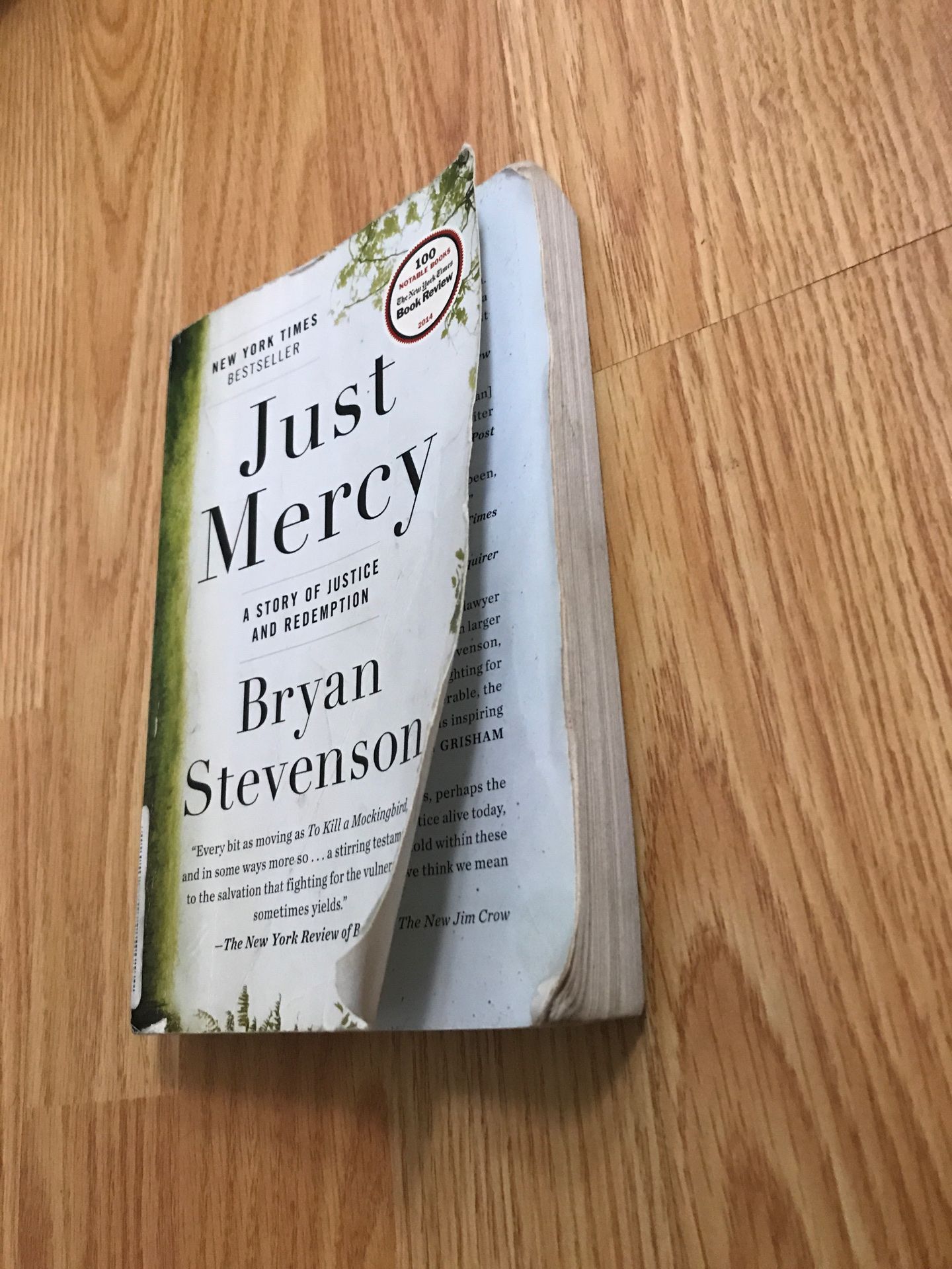 Just Mercy book by Bryan Stevenson