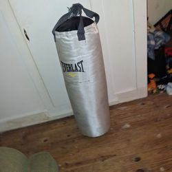 Everlast 80lb  punching bag