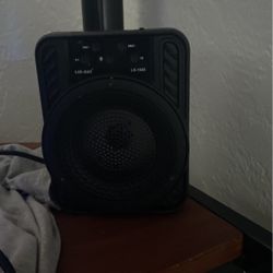 Loud Cheap Speaker 