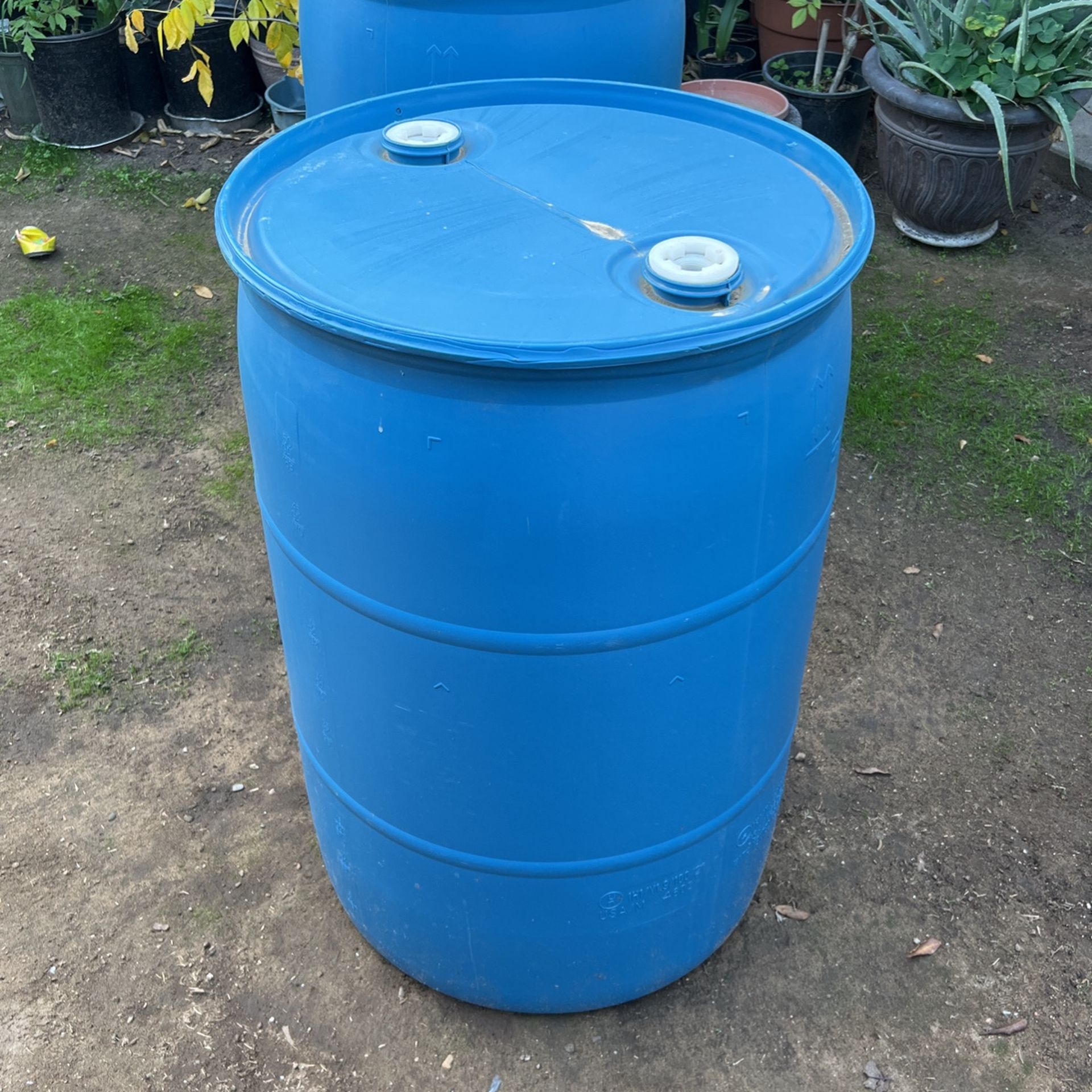 50 Gallon Barrels
