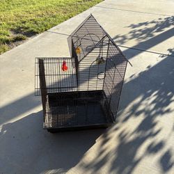 Bird Cage