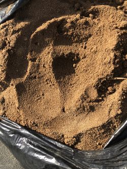 Free Soil