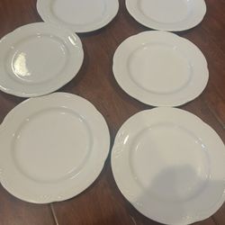 Dinner Plates