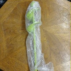 Auger Drill Bit for Holes for Plants